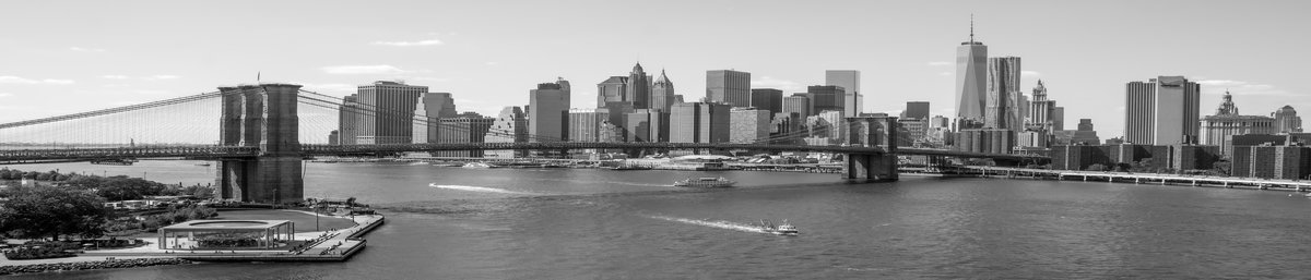 Virtuves panelis dizains SPJ 002